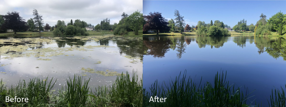 Before and After Gallery