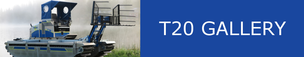 T20 with Rake